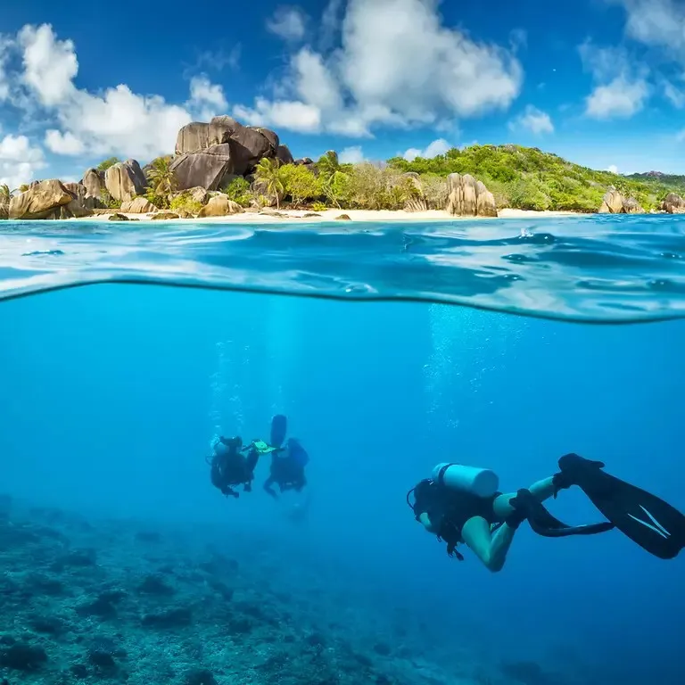 Snorkeling et découverte de la vie marine des Seychelles