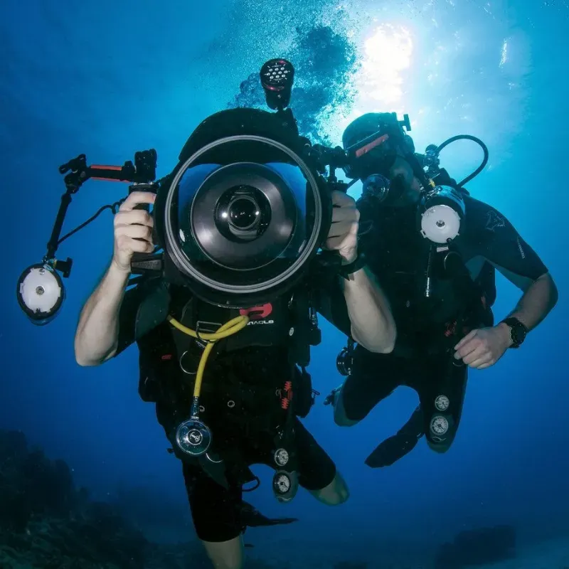 Un stage de photographie sous-marine